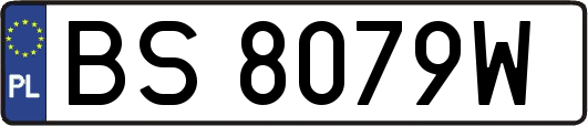 BS8079W