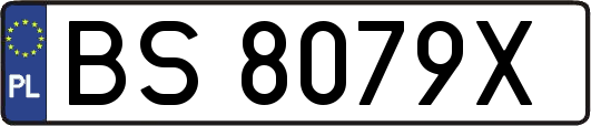 BS8079X