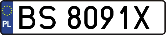 BS8091X