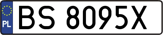 BS8095X