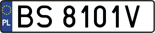 BS8101V