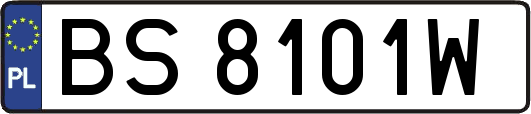 BS8101W