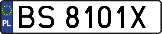BS8101X