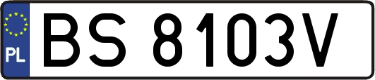 BS8103V