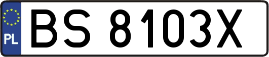 BS8103X
