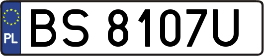 BS8107U