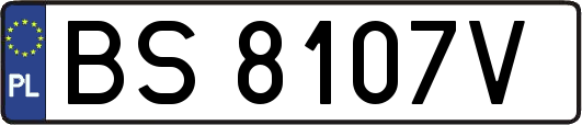 BS8107V