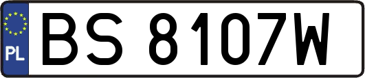 BS8107W