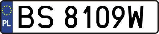 BS8109W