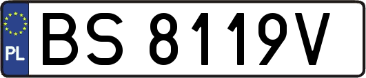 BS8119V