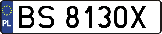 BS8130X