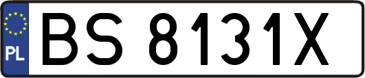 BS8131X