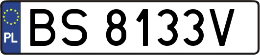 BS8133V