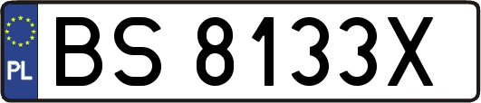 BS8133X