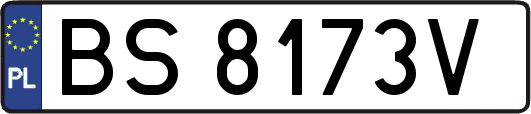 BS8173V