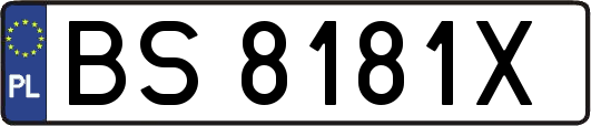BS8181X