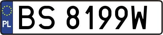 BS8199W