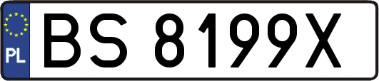 BS8199X
