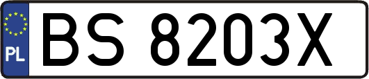 BS8203X