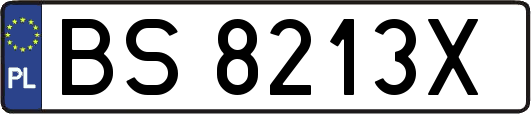 BS8213X