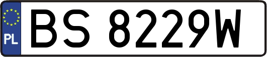 BS8229W