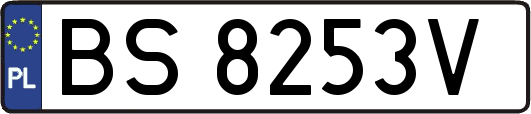 BS8253V