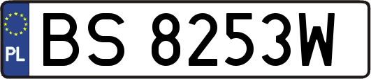 BS8253W
