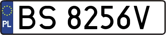 BS8256V