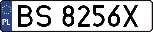 BS8256X