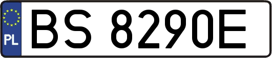 BS8290E