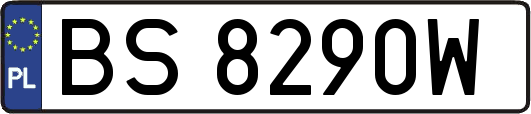 BS8290W