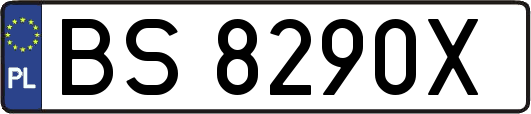 BS8290X
