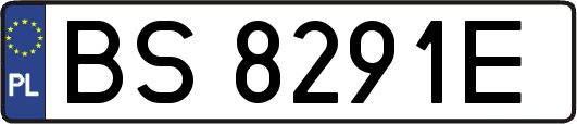 BS8291E