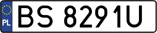 BS8291U