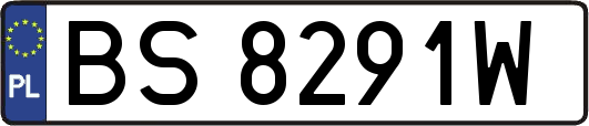 BS8291W