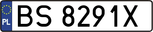 BS8291X