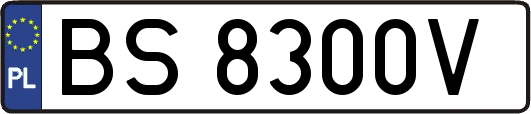 BS8300V