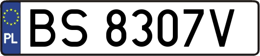 BS8307V