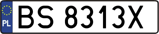 BS8313X