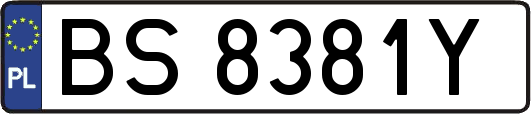 BS8381Y