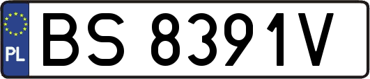 BS8391V