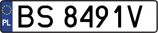 BS8491V