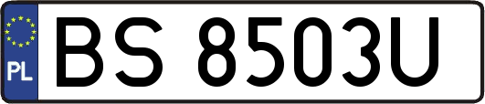 BS8503U
