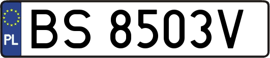 BS8503V