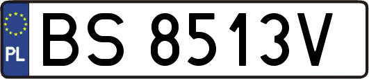 BS8513V