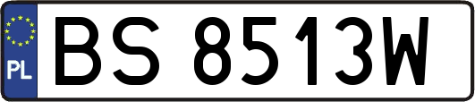 BS8513W