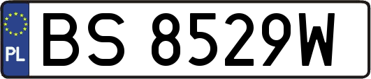 BS8529W