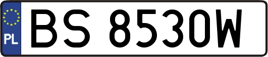 BS8530W