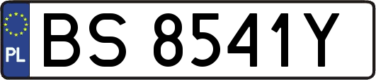 BS8541Y