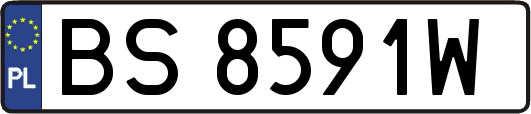 BS8591W